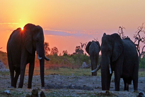 Allroundsafaris