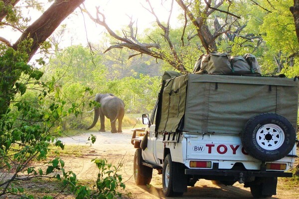 Allroundsafaris