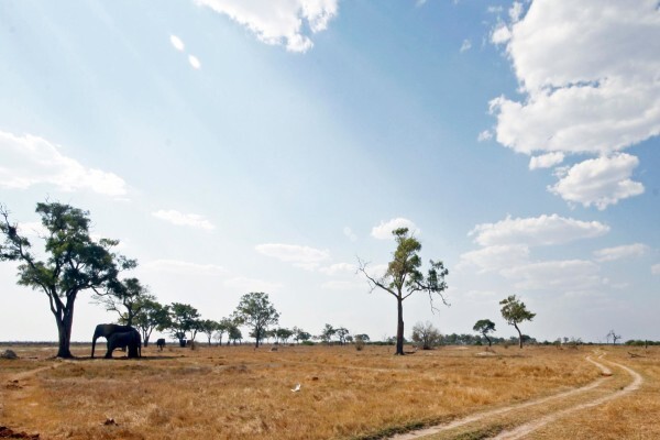 Allroundsafaris
