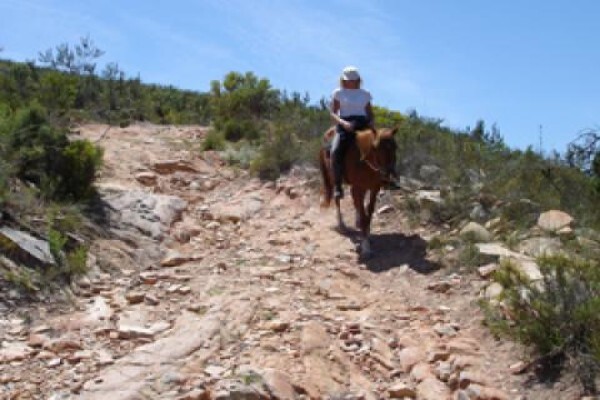 Bonniedale