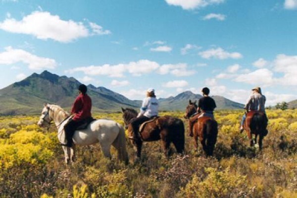 Bonniedale