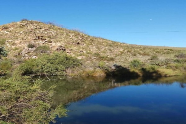 Bonniedale