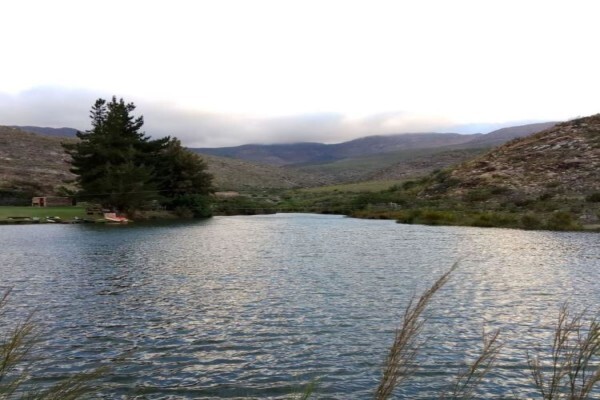 Bonniedale