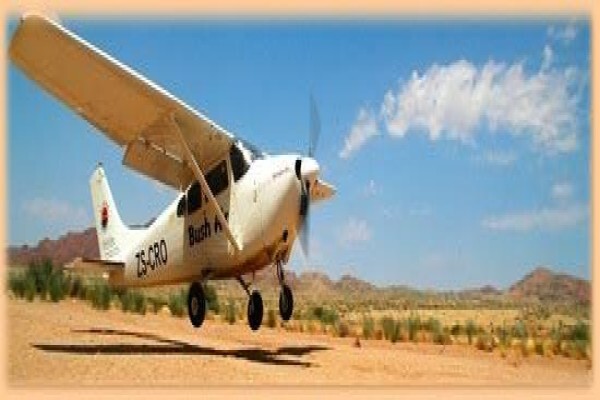 Bushpilot