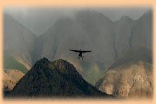 Bushpilot