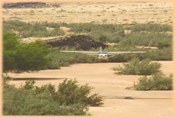 Bushpilot