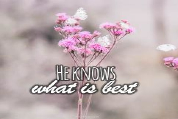 Alive To God