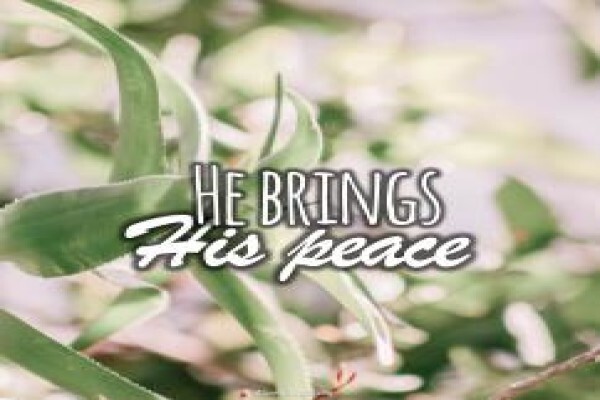 Alive To God