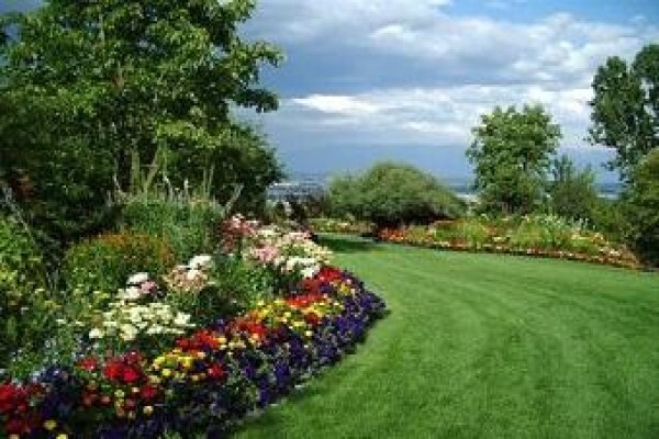 Nyasha Gardens