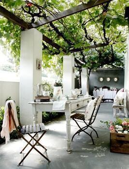 Ness (Decor & Home Staging)