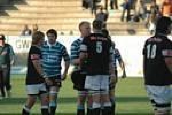 Griquas