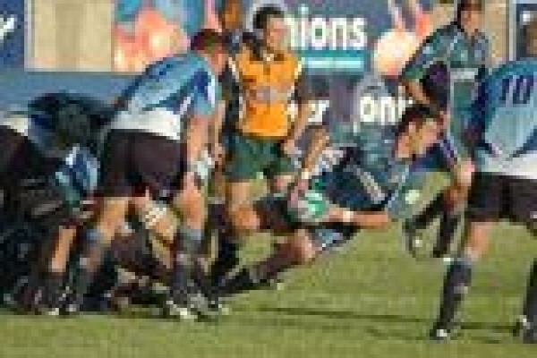 Griquas