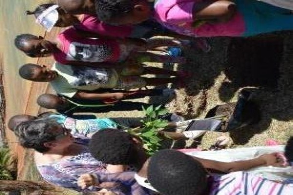 Laerskool Malelane