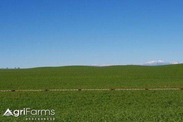 Agri Farms For Sale Western Cape