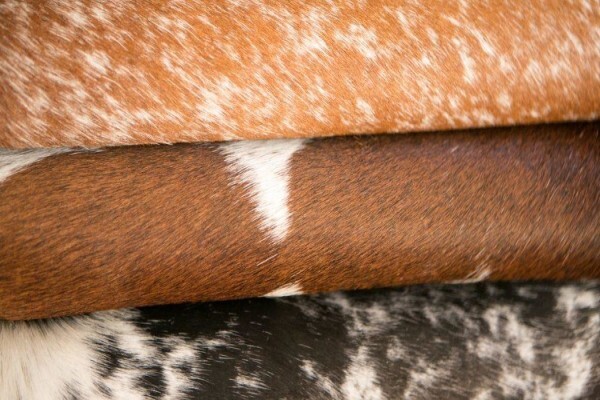 African Leather And Skins