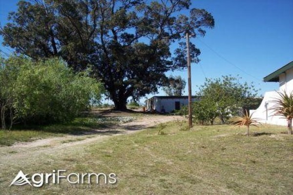 Agri Farms For Sale Western Cape