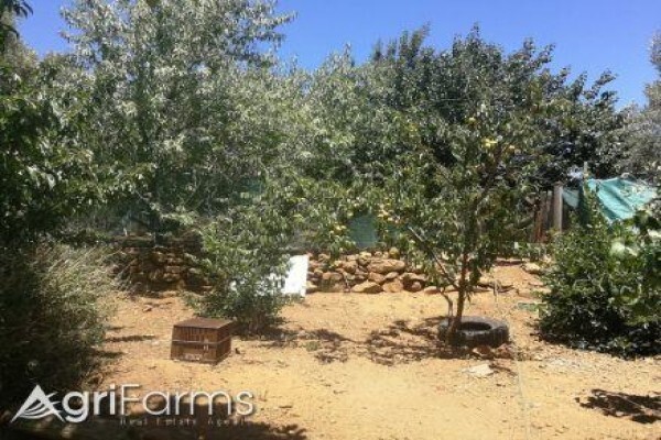 Agri Farms For Sale Western Cape