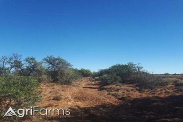 Agri Farms For Sale Western Cape
