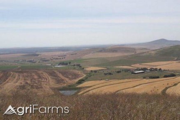 Agri Farms For Sale Western Cape