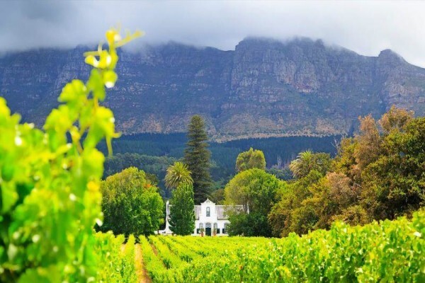 Agri Farms For Sale Western Cape