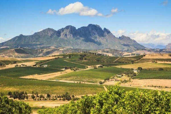 Agri Farms For Sale Western Cape