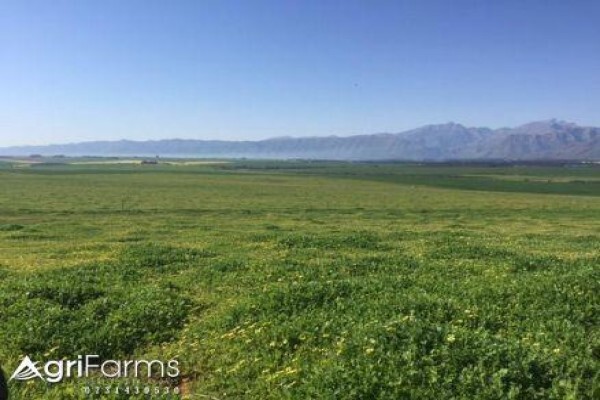 Agri Farms For Sale Western Cape