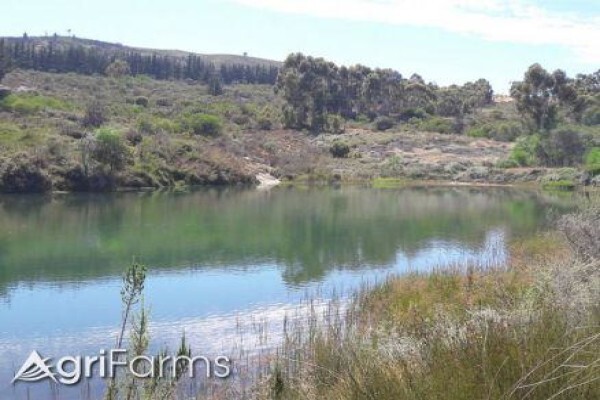 Agri Farms For Sale Western Cape