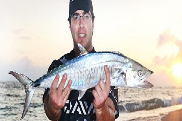 Fish The Sea