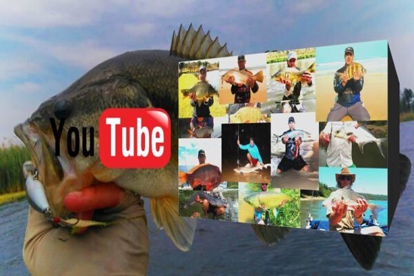Fish The Sea
