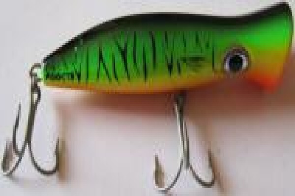 Fish The Sea