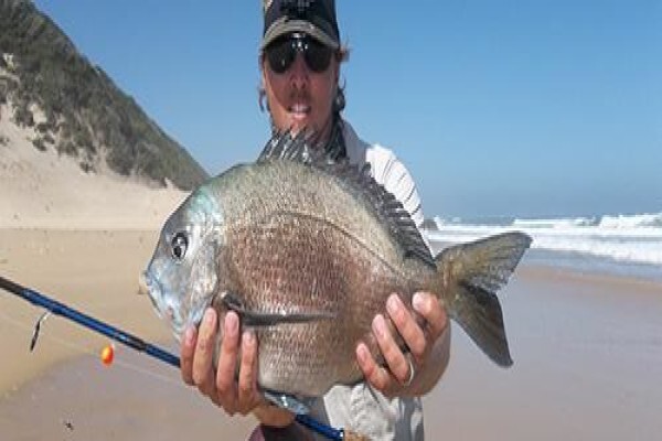 Fish The Sea