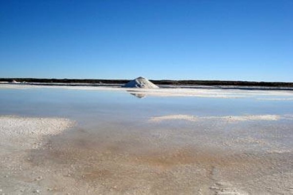 Kalahari Pristine Salt Worx