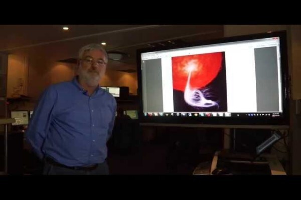 Southern African Large Telescope
