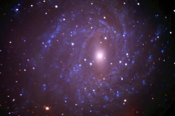 Southern African Large Telescope