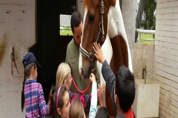Lanner House School