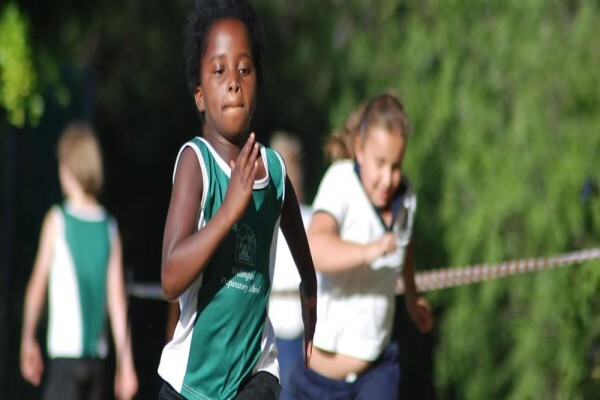 Wellington Preparatory School