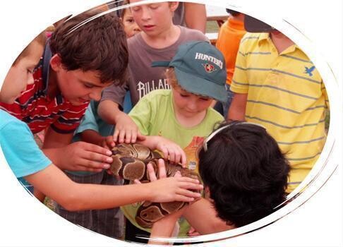 Animals In Wonderland - Wildlife Education