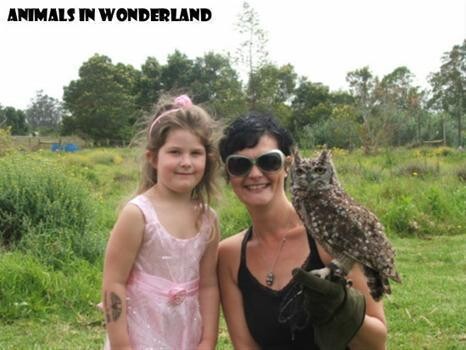 Animals In Wonderland - Wildlife Education