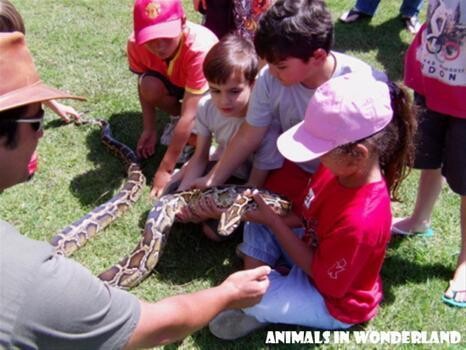 Animals In Wonderland - Wildlife Education