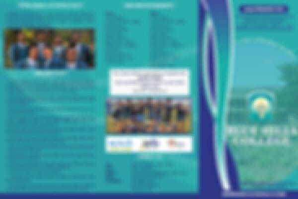Bluehills College