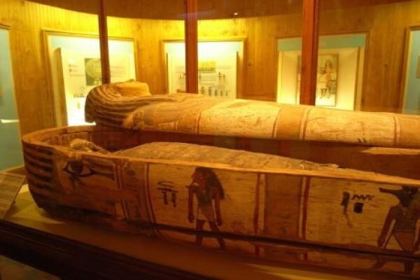 Egyptian Society