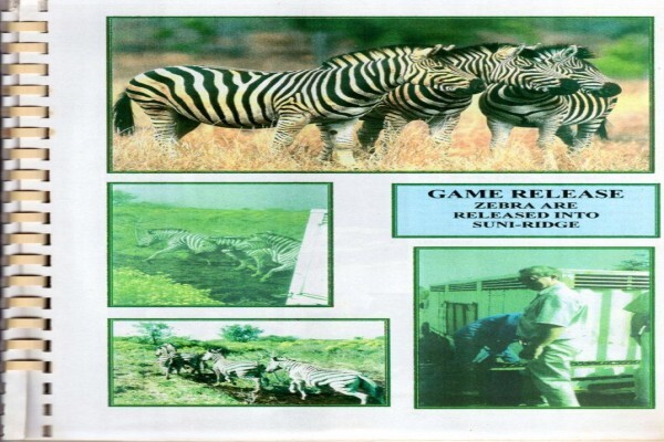 Suni-Ridge Org. Za