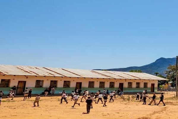 Children'S Eco Training