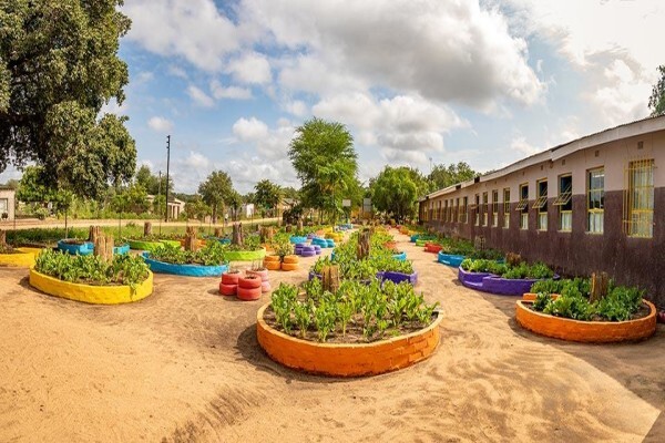 Children'S Eco Training