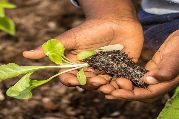 Children'S Eco Training