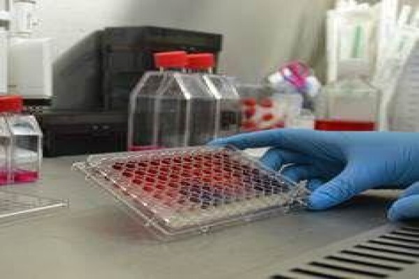 Nanotechnology Innovation Centre