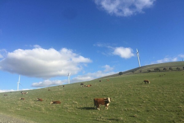 Windlab