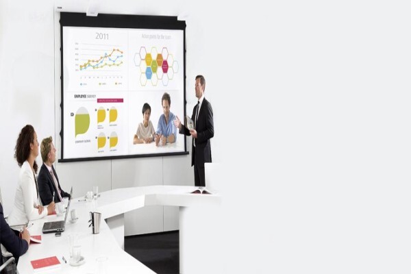 Frog Audio Visual