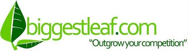 Biggestleaf
