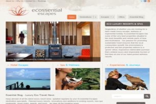 Seo Search Engine Optimization